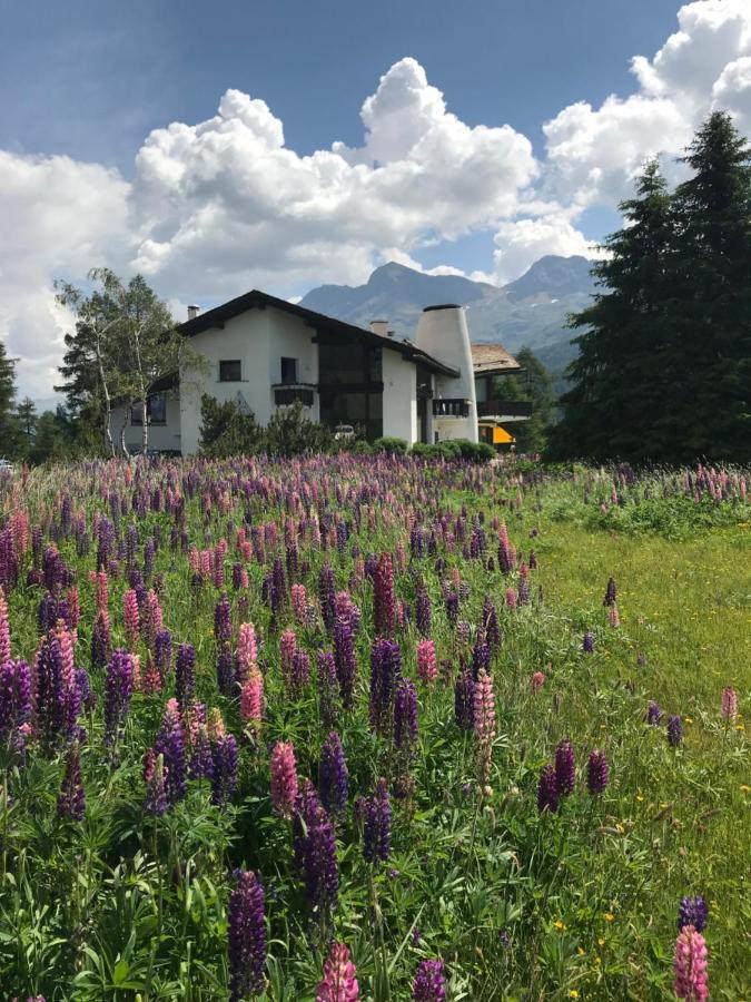 Apartamento Chesa Suot Ovas Sils-Maria Exterior foto