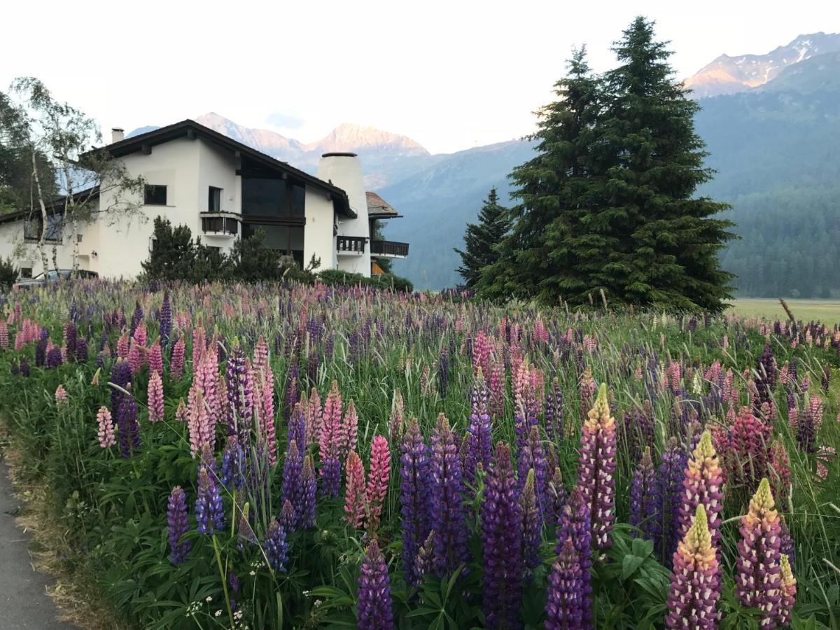 Apartamento Chesa Suot Ovas Sils-Maria Exterior foto
